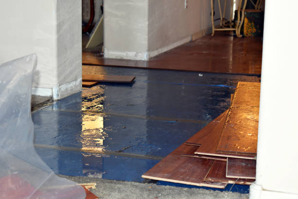Professional Water Damage Restoration technician working in Manchaca, TX
